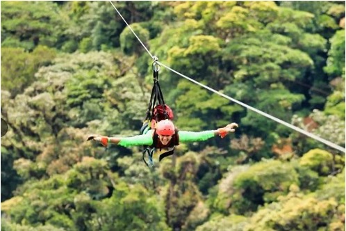 Zip-Line Adventure and West Bay Beach